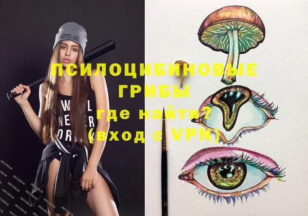 дживик Лабытнанги