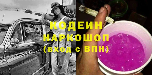 ГАЛЛЮЦИНОГЕННЫЕ ГРИБЫ Лагань