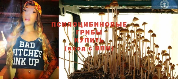 ГАЛЛЮЦИНОГЕННЫЕ ГРИБЫ Лагань