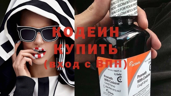 ГАЛЛЮЦИНОГЕННЫЕ ГРИБЫ Лагань