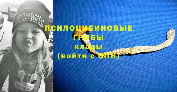 СК Кулебаки