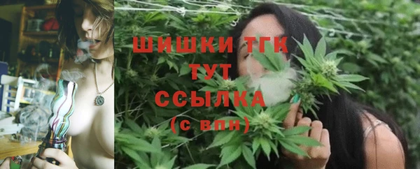 дживик Лабытнанги