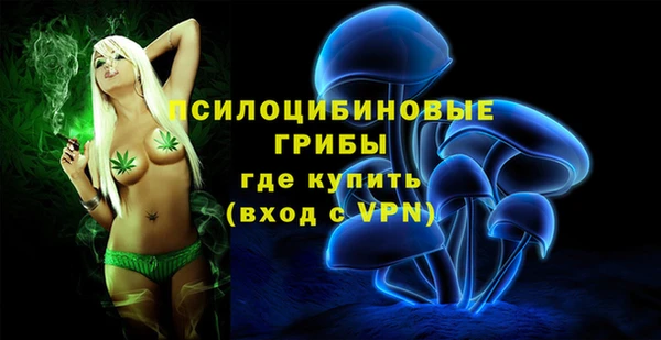 дживик Лабытнанги